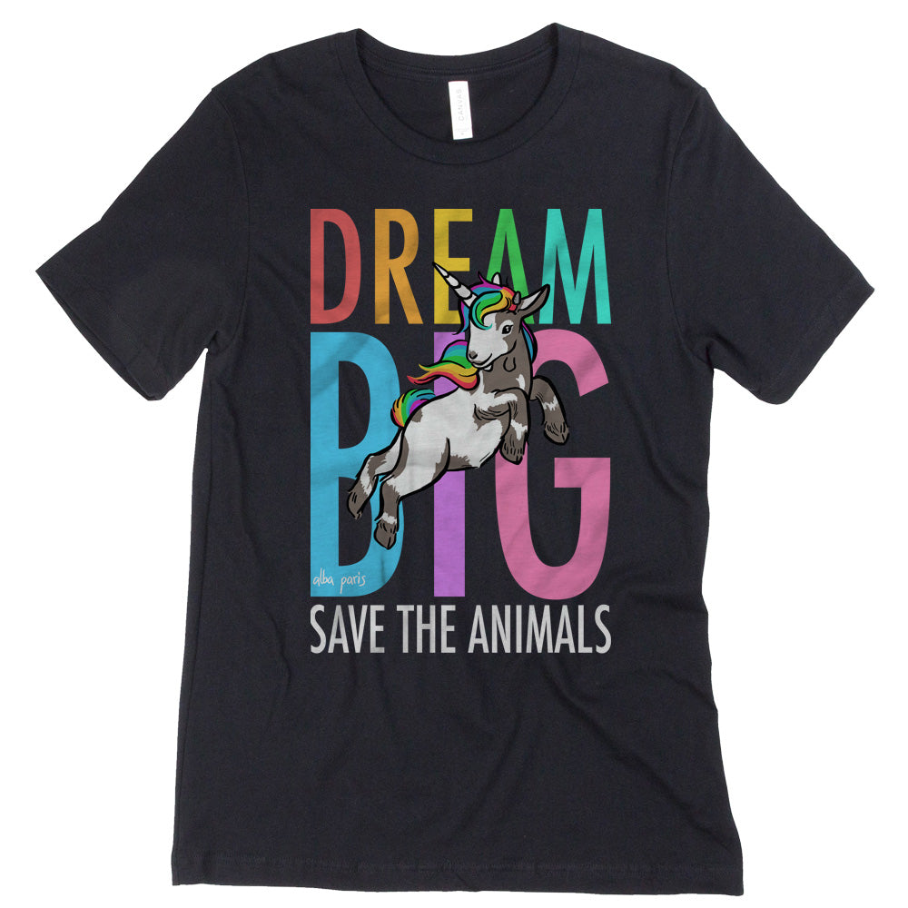 Dream Big Unisex Tee