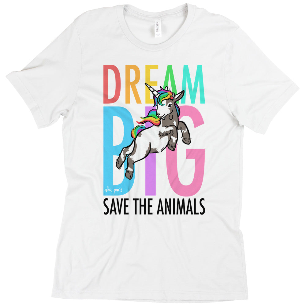 Dream Big Unisex Tee
